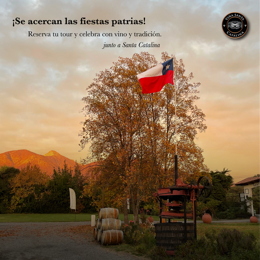 Wine Tourism in Chile: Discover a Family Winery Just 35 Minutes from Santiago