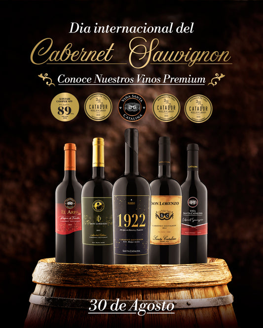 Cabernet Sauvignon del Valle del Maipo: el rey de los vinos chilenos