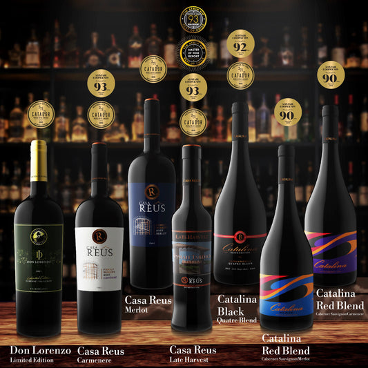 How to Choose the Perfect Chilean Wine for Every Occasion