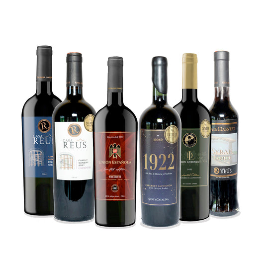 Pack Mix Vinos Premium