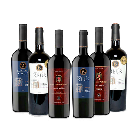 Pack Mix Vinos Premium