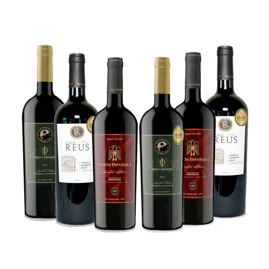 Pack Mix Vinos Premium