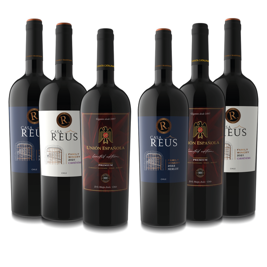 Pack Mix Vinos Premium
