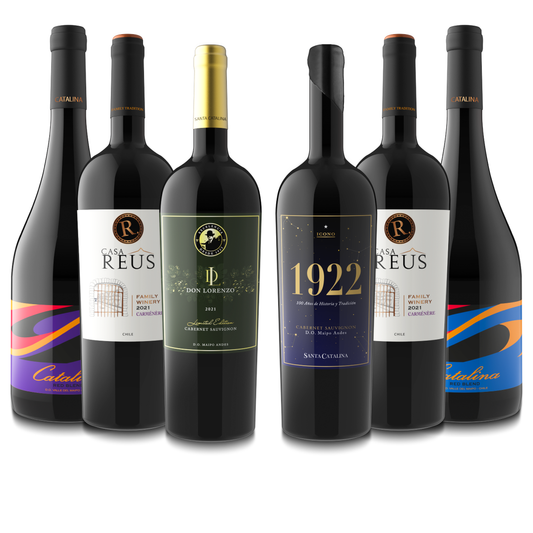 Icono - Premium - Ensamblaje