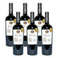 Casa Reus Carmenere - Medalla Oro Catad´Or