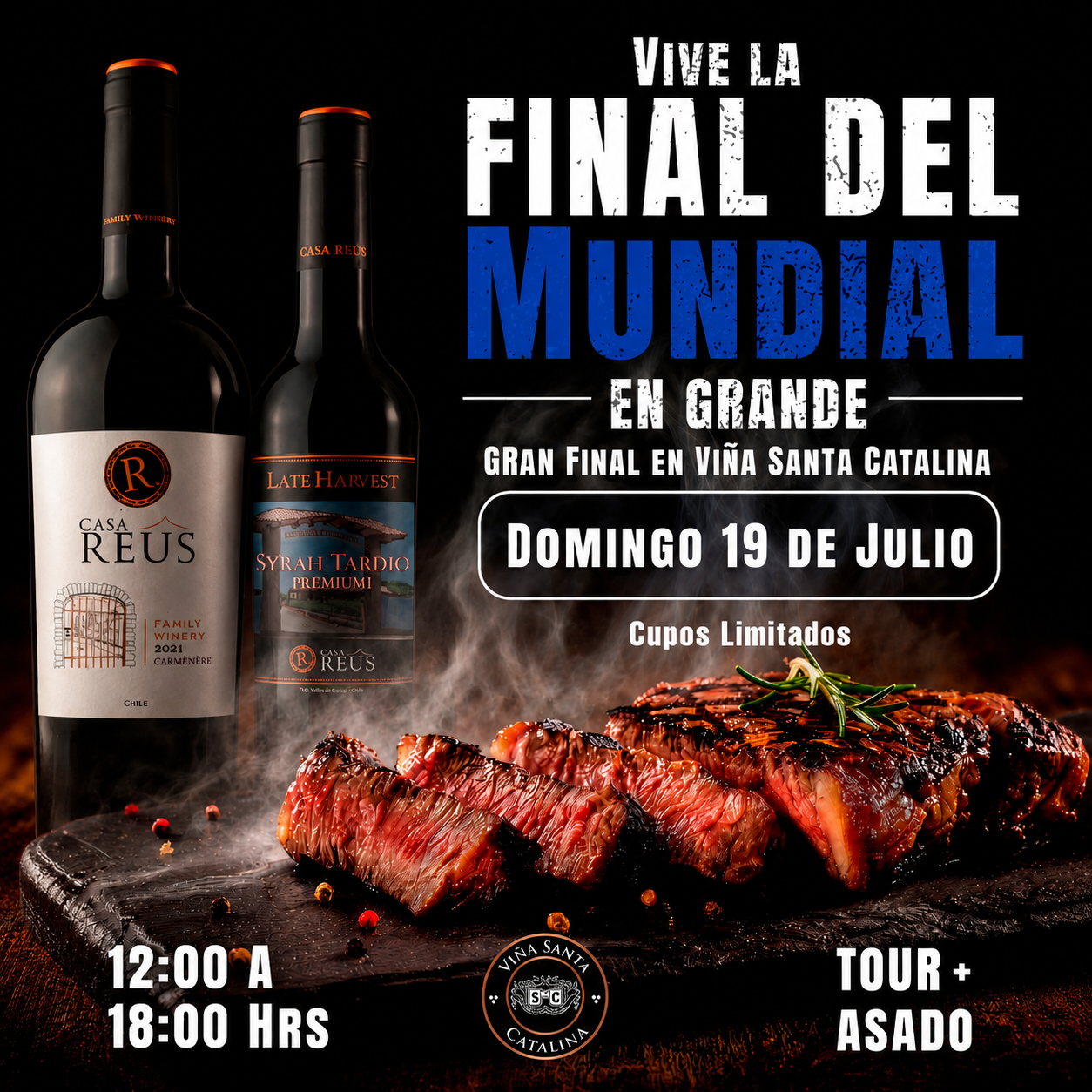 Final del Mundial en Viña Santa Catalina | Entrada Adulto